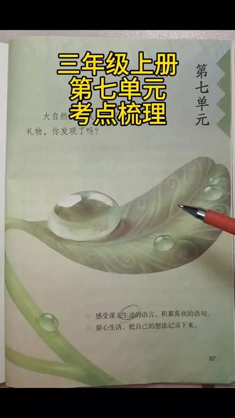 三年级上册第七单元考点梳理#创作灵感 #小学语文 #三年级上册语文 #知识分享 #家长必读