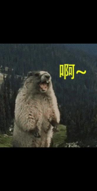 节目叫停?真被归途这小子说中了呀,把节目组熬没了…#老六荒野