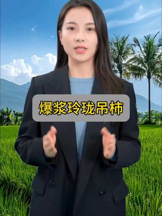 软糯香甜一口爆汁巨好吃!小朋友也超爱吃!果农现摘现发,贼新鲜~ #新鲜应季水果 #优质农产品 #火晶柿子#柿子熟了