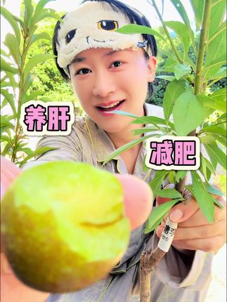还是自己种的蕞放心❤️ 还是自己种的蕞放心❤️ #李子 #果树苗 #养生