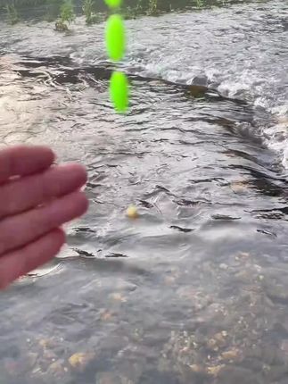 【6副装黄铜铅坠】溪流钓黄铜铅线组单钩通线有刺免调漂溪流线组