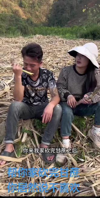 帮你家砍完甘蔗你居然说不喜欢我