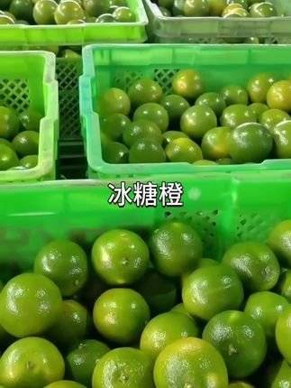 别看它表皮长得绿了吧唧的,吃起来是纯甜的,满满维C,孕期都是一箱箱的买,孩子特别爱吃,真的很好吃,没吃过的一定要试试!#冰糖橙 #皇帝柑 #新鲜应季水果#橙子 #快来一起尝个鲜