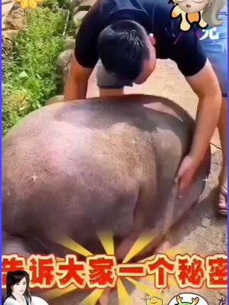#健康科普 #养生知识 #健康减脂