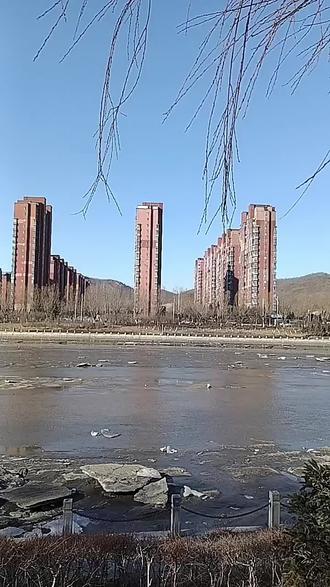 2026年最火的一句话