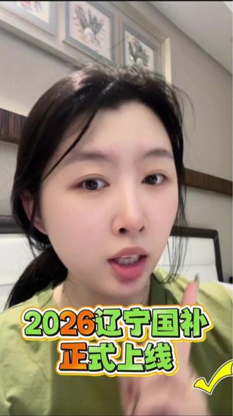 好消息!辽宁国补正式上线! 速来领取多重优惠叠加攻略!#国补政策2026最新消息官方 #辽宁国补 #年货节 #家电国补 #数码国补