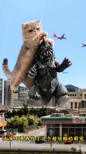 Seedance2.0萌宠奥特曼即梦制作教程 seedance2.0假面骑士提示词 seedance2.0假面骑士ai Seedance2.0假面骑士变身打斗 seedance2.0哪里下载 ai生成假面骑士口令 #AI分身戏精大赛 #我的AI分身杀疯了 #Seedance2.0 #seedance2.0假面骑士 #假面骑士变身 萌宠奥特曼ai 萌宠奥特曼ai指令