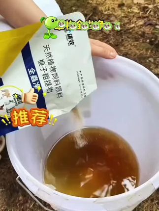 #养鸡 #养鸡人加油 #养鸡小妙招