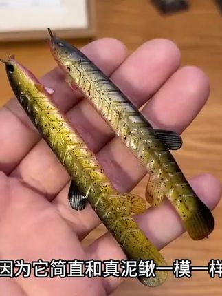 多节身仿真你泥鳅软饵 发明这个泥鳅的家伙真是个天才,给泥鳅软饵加入了多节身的设计,更加柔软扭动泳姿惟妙惟肖。#路亚翘嘴 #路亚鳜鱼 #路亚鲈鱼