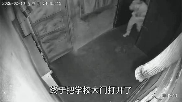 分享一下我昨天晚上玩的密室逃脱,禁校
#密室逃脱 #校园记忆 #监控视角