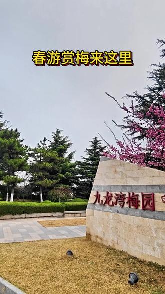 在九龙湾梅园,梅花花期尚在,一起来赏梅打卡感受春的气息。(记者 殷玉鹏 员雯)