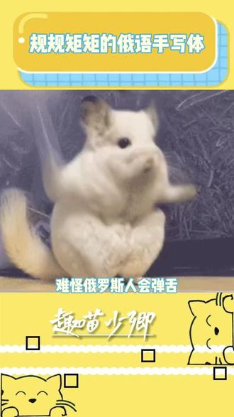 怪不得俄罗斯人会弹舌#万万没想到 #俄罗斯#离谱#真实