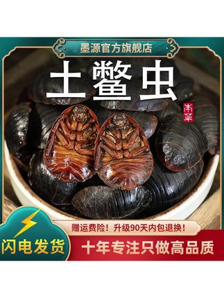 土元土鳖虫土元虫地鳖虫士鳖虫非野生土元干非金边打土元粉#土元 #土鳖 #土元养殖基地 #山货