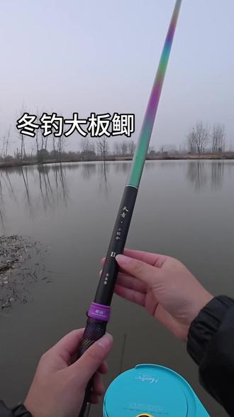 冬钓大板鲫鱼@威宝莱户外旗舰店 #天青小综合二代彩虹版