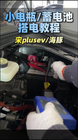 小电瓶 蓄电池搭电教程 #海洋贺岁马上有礼 #比亚迪海洋聚浪汇 #比亚迪海洋声海领航