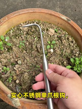 实心不锈钢单爪根钩