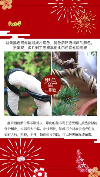 盆景造型专用铝丝铝线盘扎铝丝线蟠扎园艺铁丝花卉罗汉松定型吕丝 #造型 #盆景 #盆景造型 #盆景制作