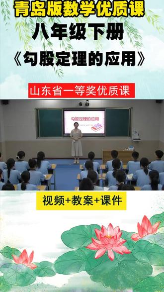 30青岛版数学八下《勾股定理的应用)》庞老师优质课