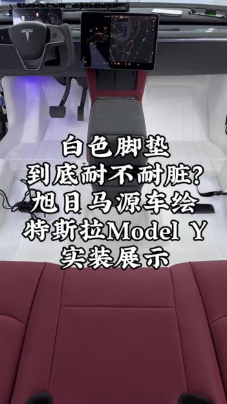 特斯拉白不白😂😂😂#特斯拉 #旭日马 #旭日马源车绘