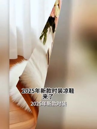 2025年新款时装凉鞋女夏季拼色中跟粗跟女鞋软皮后空包头鞋子气质