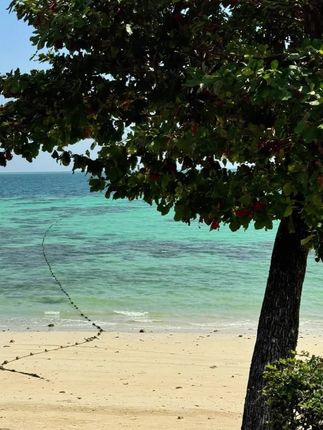 枸杞子正宗饱满免洗原产头茬无硫红枸杞泡水煲汤150g#枸杞 #枸杞子 #红枸杞 #泡水枸杞 #煲汤枸杞