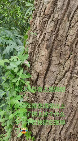 请问一下抖友们,这个是什么符号??什么标志?