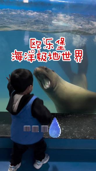 泉城海洋极地世界,室内恒温,带上全家来一场海洋之旅吧#一起看看海底世界 #陪你长大陪你看世界 #极地海洋世界 #欧乐堡 #周末去哪玩