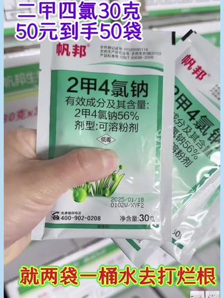 二甲四氯30克50袋50元出阔叶草及莎草科杂草 #农业种植 #水稻种植