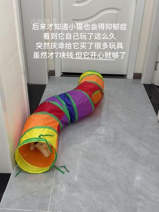希望我的小猫天天开心#萌宠 #养猫的乐趣 #宠物玩具 #猫玩具