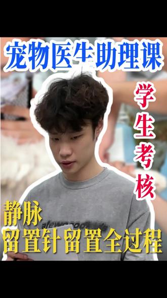 静脉留置针留置全流程学生独立完成 #宠物医生 #宠物医生讲师 #老师与学生日常 #知识分享 #留置针