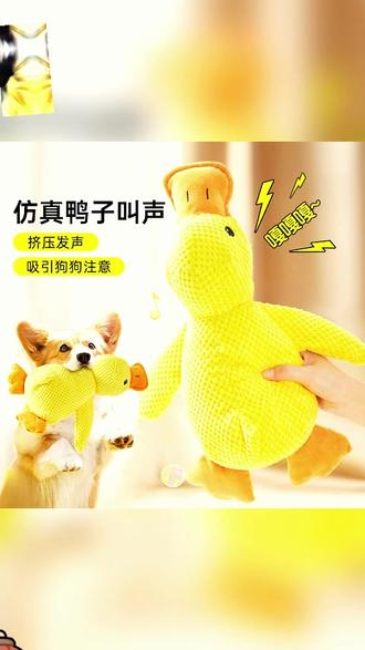 一按就嘎嘎叫的大黄鸭,好玩又耐咬,狗狗自嗨根本停不下来睡觉都得搂着 #萌宠好物 #狗狗玩具 #拉布拉多