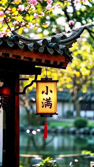 【二十四节气】小满者,将满未满,恰是人间最好的光景! #汉文化 #古风 #二十四节气 #小满 #传统文化季