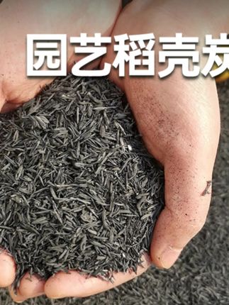 彩乐植稻壳炭熏碳谷壳碳草木灰补钾改良土壤有机通用园艺#土壤改良 #服务三农支持三农#稻壳炭 #好土壤好品质好生活
