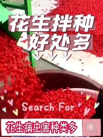 告别根腐病,高产又壮苗! 今年种植花生一定要注意防治土传性真菌、细菌性病害!这款产品能有效预防!#三农 #农业种植 #肥料 #病虫害防治