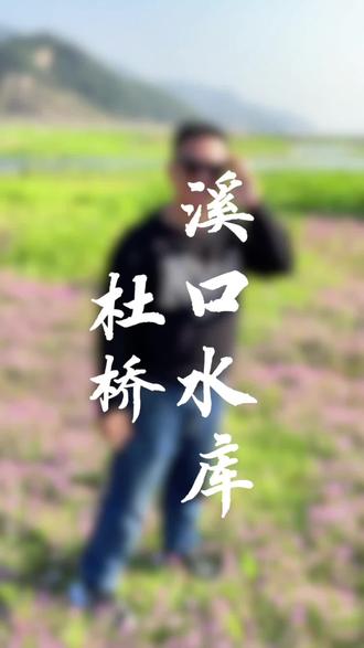 溪口水库边上横溪村有一片漂亮的紫云英花海,赶紧来打卡!#溪口水库 #紫云英 #紫云英花海 #杜桥打卡 #美景尽收眼底