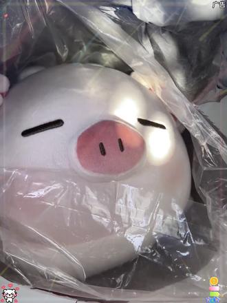 啊啊啊 是谁拥有了Q弹的小猪猪 是我呀!# 萌物 # miniso # 玩偶 # 床搭子 # 毛绒玩具