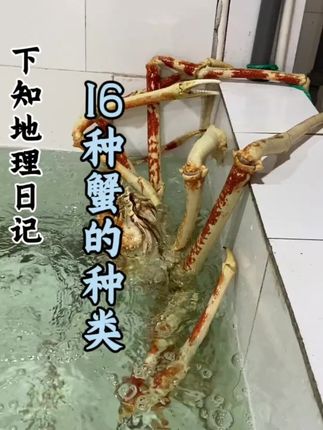 科普分享一些蟹的种类,你看你认识几种!#科普#盘点#分享#蟹