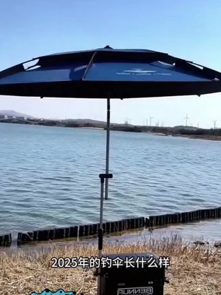 #钓伞