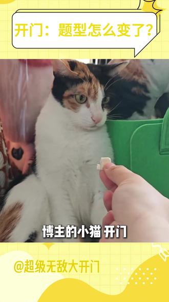 猫:不是那个就是这个,只要蒙对就有吃的! #猫咪#萌宠 #萌宠出道计划 #猫咪的迷惑行为 @超级无敌大开门 @抖音创作小助手