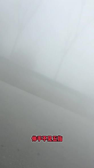 你们看看这可是怨国家不让放烟花
这不出事吗?一路上什么都看不见,人带路都不行
你说说不放烟花能死吗?#高速大雾