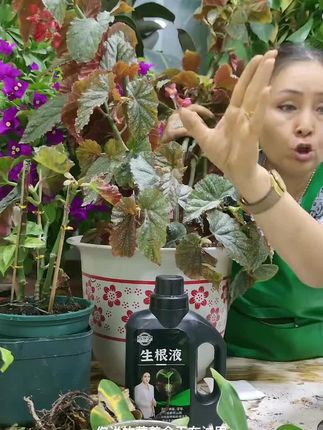 #养花知识大全书籍推荐 ##直播高光 超越相似主播音浪值