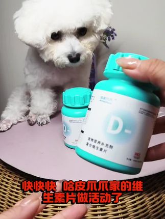 毛孩子健康必备!哈皮爪爪复合维生素,守护萌宠每一天~🐶💊 #是宠物更是家人 #萌宠必备#哈皮爪爪#复合维生素#养狗经验分享