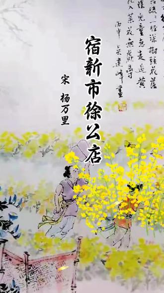 每日古诗练习(2026.5.9)#四年级下册古诗《宿新市徐公店》#每天坚持练字#芳园书法#写字是一种生活乐趣 #硬笔手写