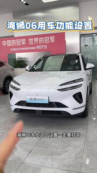 海狮06各项车机功能如何设置 赶快学起来#百万归途海洋同行
