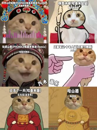 哈吉嘛只打高端局#meme猫表情包 #音乐分享 #音乐推荐