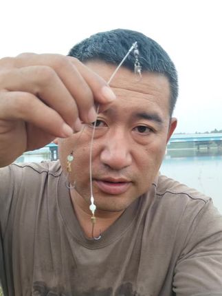 白鲳子线双钩 钢丝防咬线子线双钩白鲳子线双钩黑坑白鲳子线双钩#渔具用品 #白鲳 #子线双钩