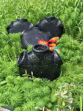 黄鳝笼子捕鱼笼鳝鱼泥鳅笼虾笼抓鱼笼装鱼篓捉鱼网笼花篮网#花篮网 #抓鱼笼 #捉鱼 #捕鱼 #捉鱼网笼