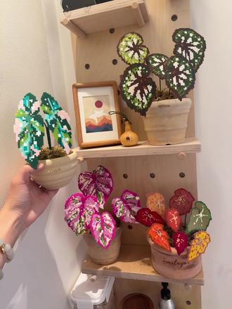 一起入坑拼豆吧#拼豆 #拼豆图纸