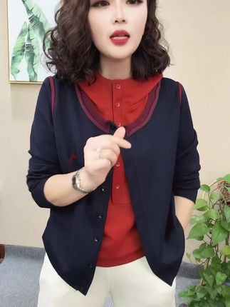 2025秋季新款时尚气质修身显瘦百搭设计感连帽拼色女士上衣#假两件外套 #连帽外套 #谁穿谁好看 #面料舒适透气 #不挑年龄不挑身材 @DOU+上热门 @DOU+小助手