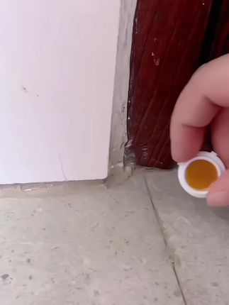 这个蟑螂药放在角落里就行,可以吸引蟑螂出来取食,携带毒味返回后全巢死亡,实现一窝端#蟑螂药一窝端 #蟑螂药 #灭蟑螂 #蟑螂怎么消灭最彻底 #蟑螂杀手
